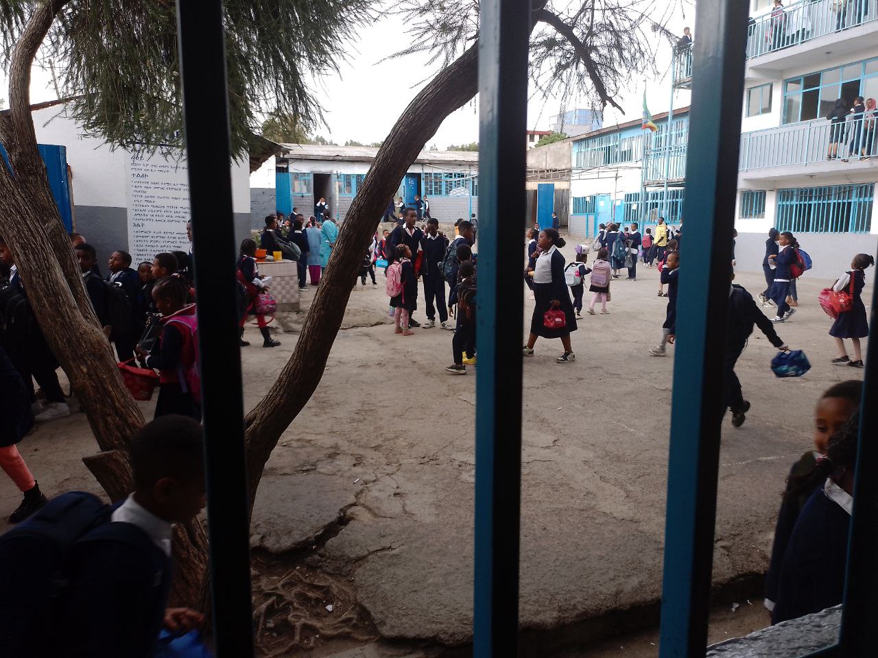 photo_6_2025-06-09_17-09-13